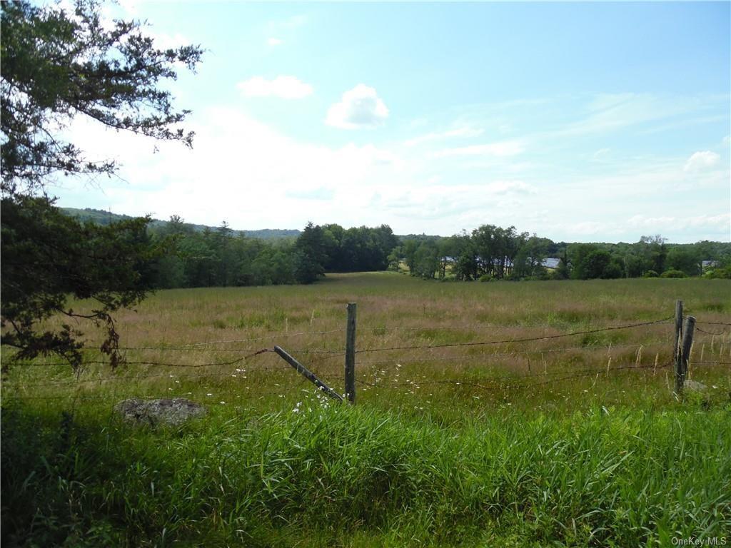 Single Family Dr Duggan  Sullivan County, NY 12720, MLS-H6320944-12