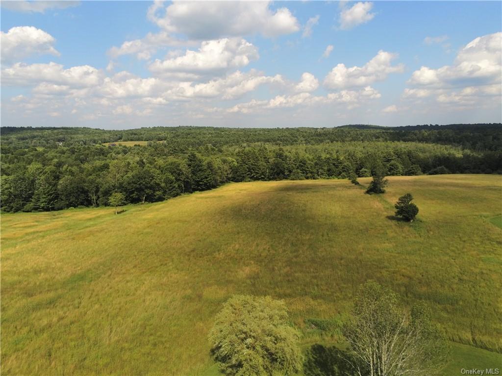 Single Family Dr Duggan  Sullivan County, NY 12720, MLS-H6320944-3