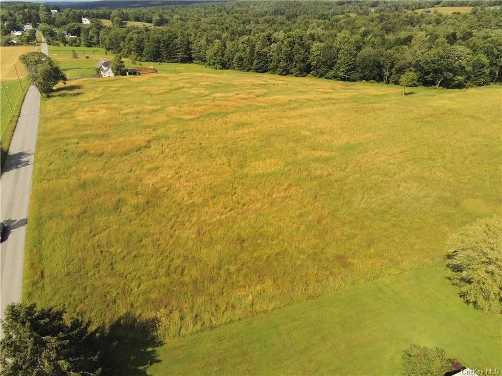 Single Family Dr Duggan  Sullivan County, NY 12720, MLS-H6320944-4