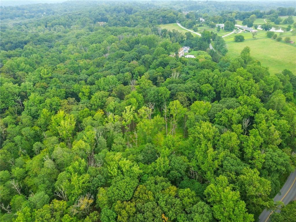 Single Family John Cross  Westchester County, NY 10549, MLS-H6321549-10