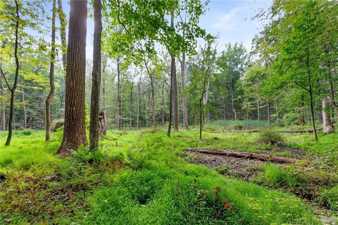 Single Family John Cross  Westchester County, NY 10549, MLS-H6321549-8