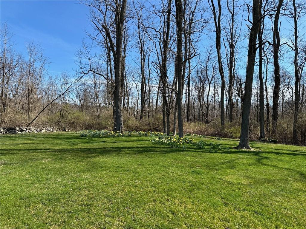 Single Family Canoe Hill  Dutchess County, NY 12545, MLS-H6323116-5