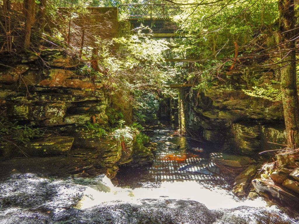 Single Family Black Forest  Sullivan County, NY 12737, MLS-H6323957-35
