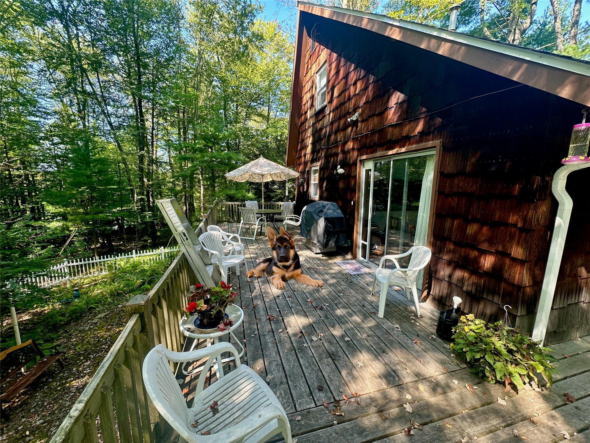 Single Family Swinging Bridge Estate  Sullivan County, NY 12701, MLS-H6324641-6