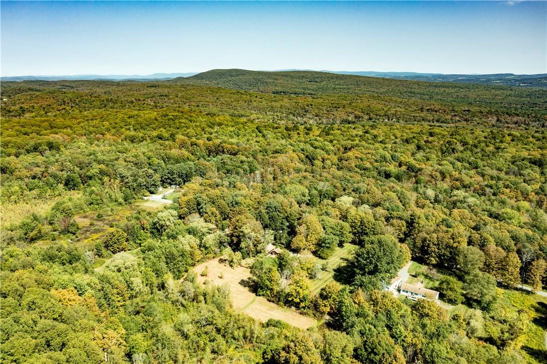 Single Family Decker  Dutchess County, NY 12581, MLS-H6324897-3
