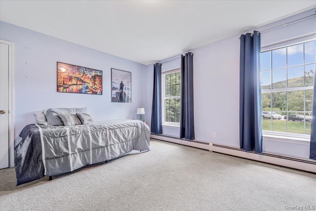 Single Family Carlisle  Orange County, NY 10930, MLS-H6325015-26