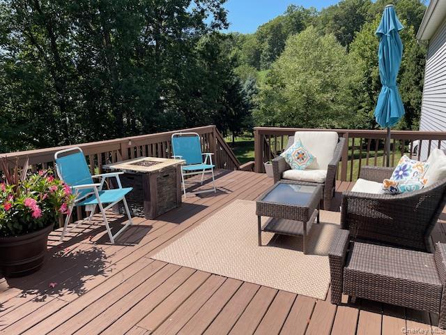 Single Family Carlisle  Orange County, NY 10930, MLS-H6325015-39