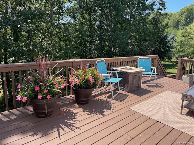 Single Family Carlisle  Orange County, NY 10930, MLS-H6325015-40