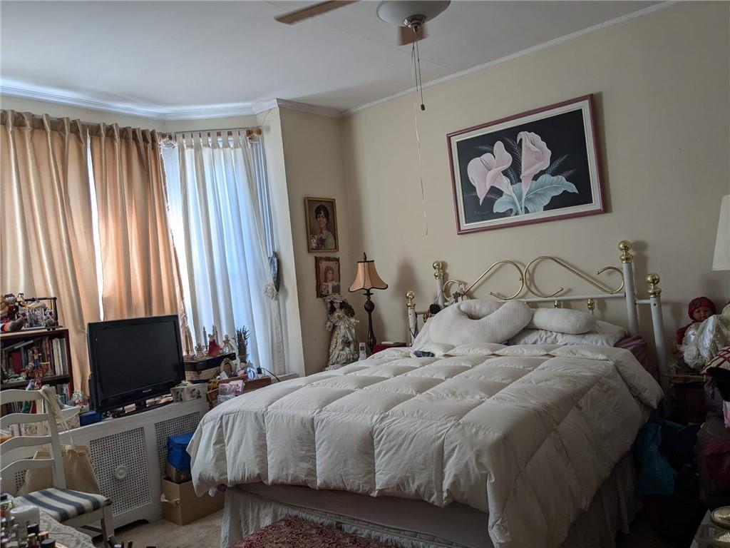 Single Family Morris Park  Bronx, NY 10460, MLS-H6325037-3