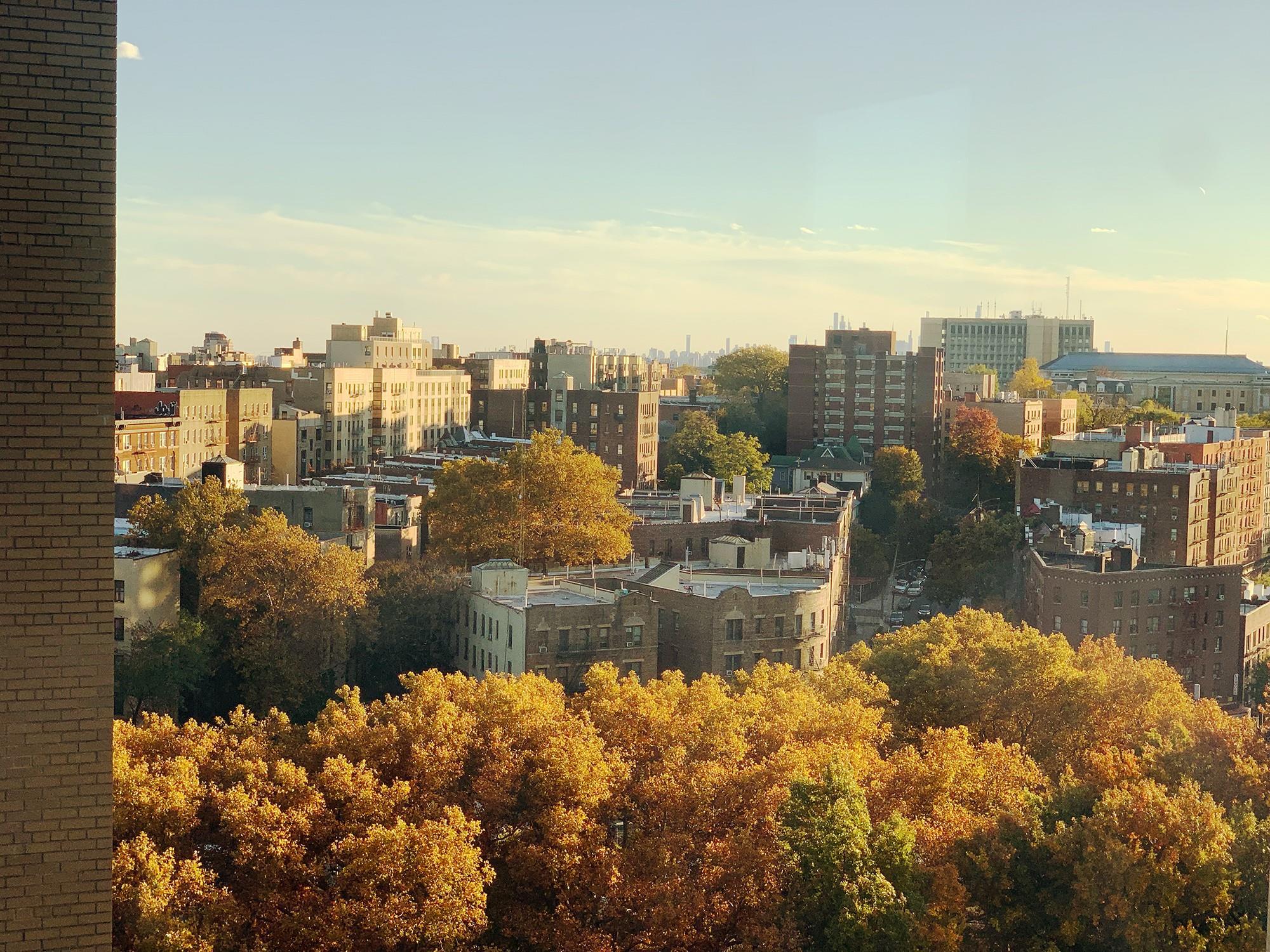Coop Fordham Hill  Bronx, NY 10468, MLS-H6326472-10