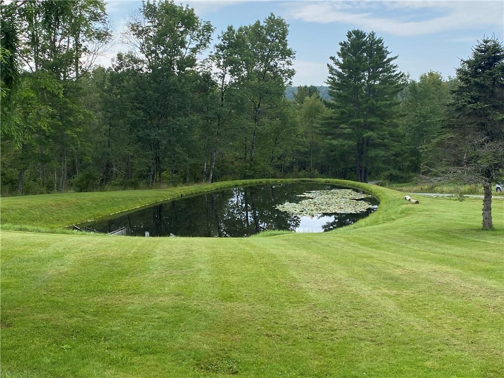 Single Family Little Ireland  Sullivan County, NY 12758, MLS-H6326653-26