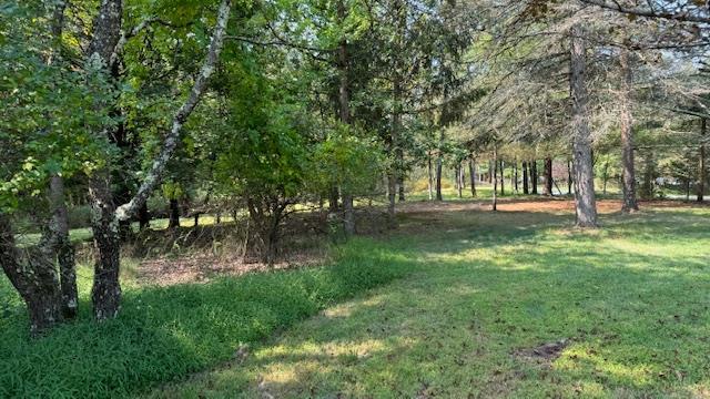 Single Family Mountain  Sullivan County, NY 12721, MLS-H6326964-12