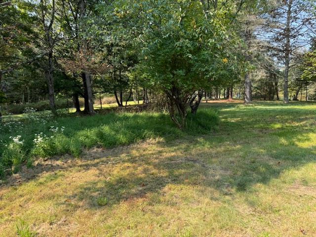 Single Family Mountain  Sullivan County, NY 12721, MLS-H6326964-2