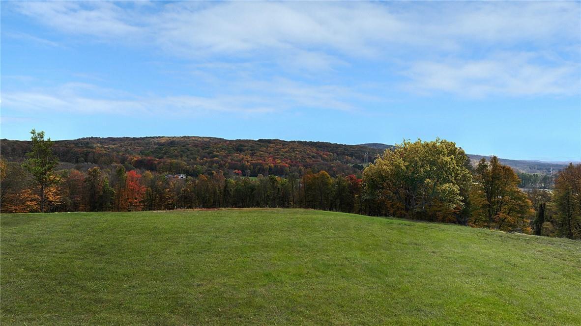 Single Family Brush Hill  Dutchess County, NY 12545, MLS-H6327729-10