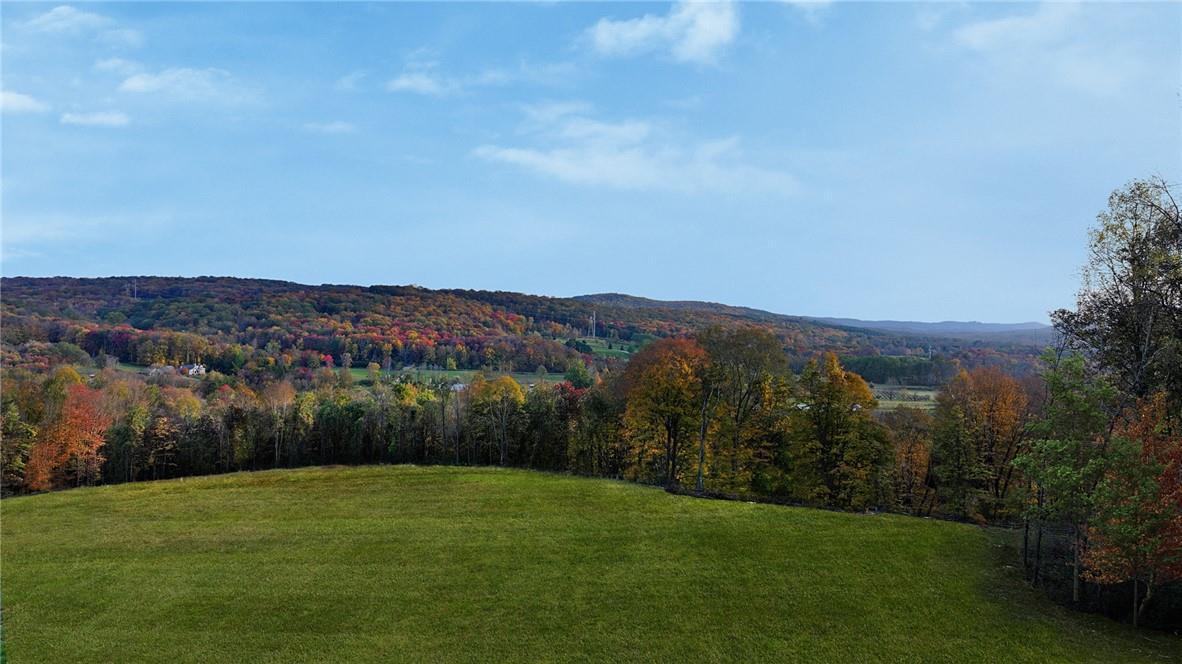 Single Family Brush Hill  Dutchess County, NY 12545, MLS-H6327729-11