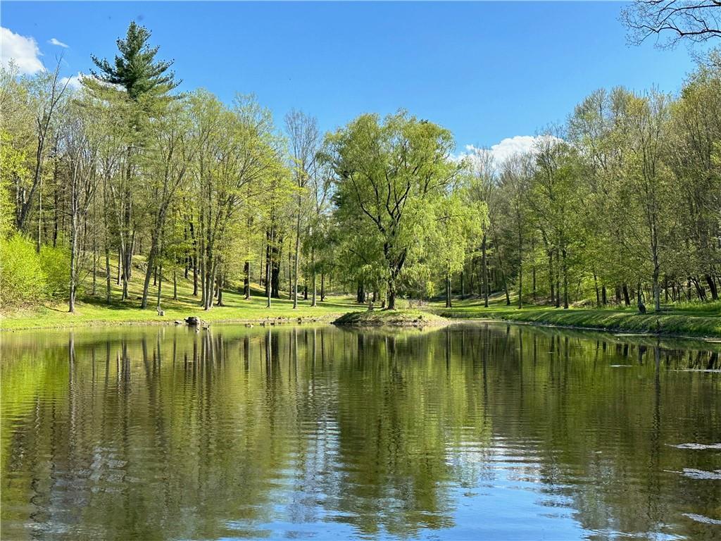 Single Family Woodstock  Dutchess County, NY 12545, MLS-H6327965-3