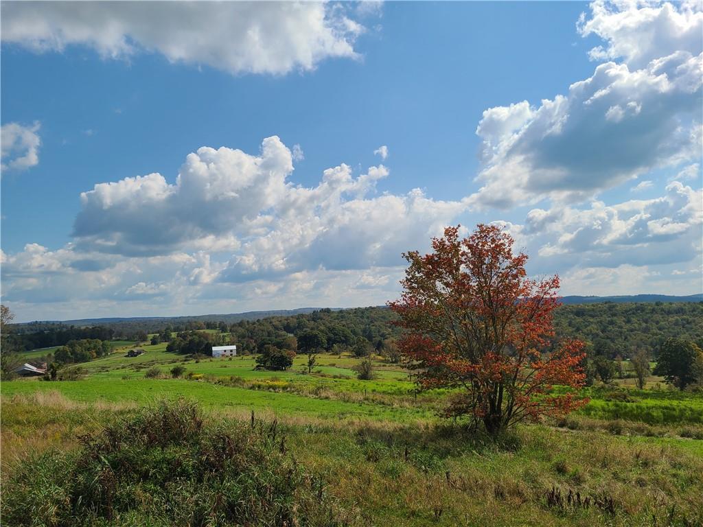 Single Family Gabel  Sullivan County, NY 12723, MLS-H6328252-26