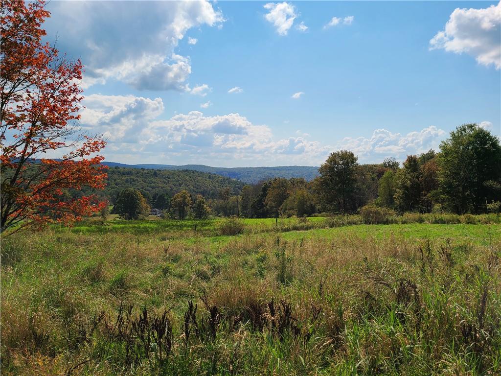 Single Family Gabel  Sullivan County, NY 12723, MLS-H6328252-4