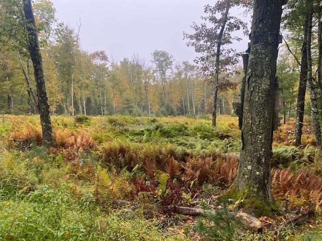 Single Family Old Forestburgh  Orange County, NY 12780, MLS-H6328595-16