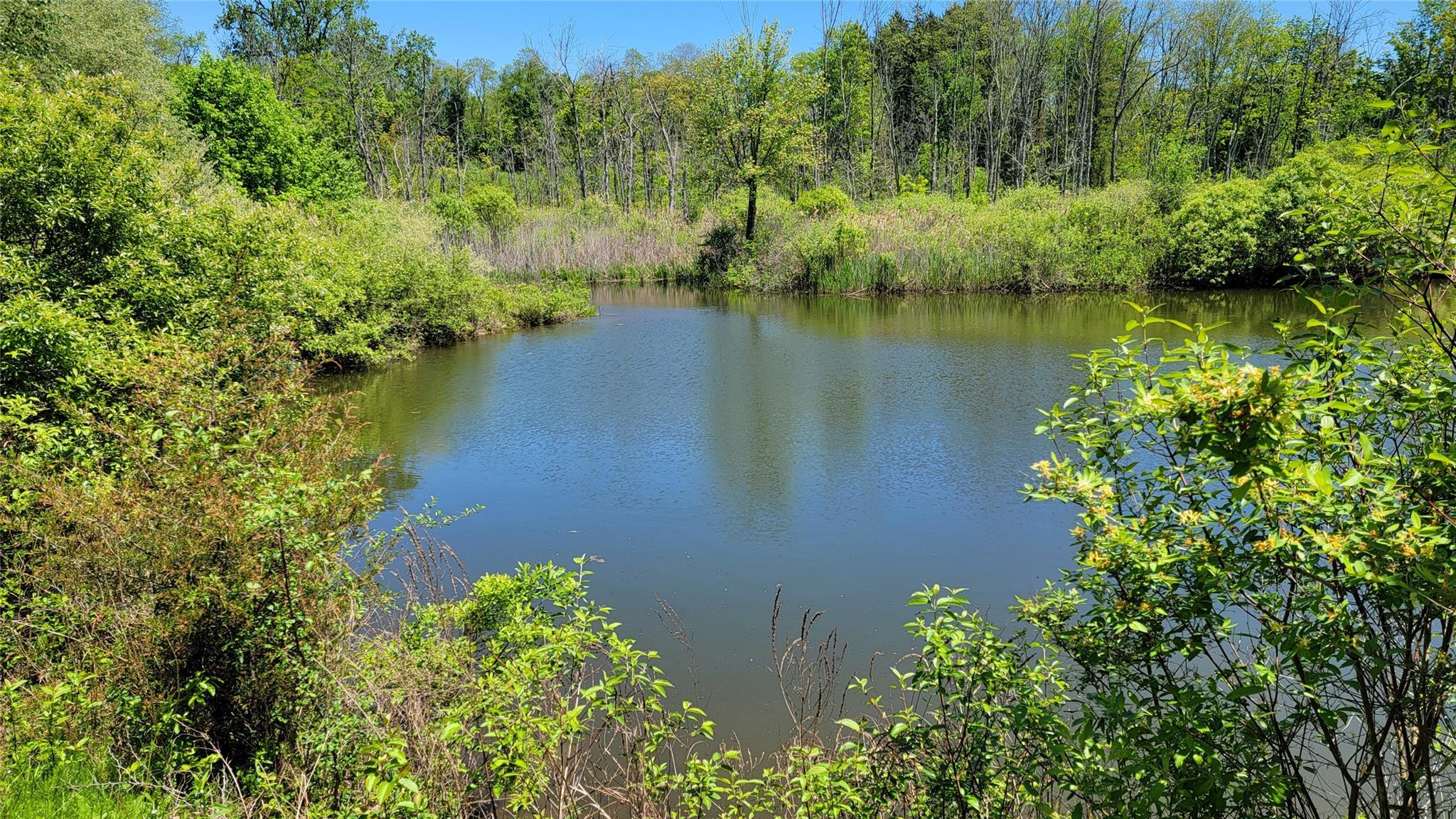 Single Family Route 44  Dutchess County, NY 12545, MLS-H6329108-6
