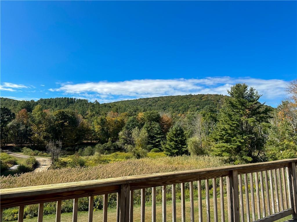 Single Family Nobletown  Columbia County, NY 12529, MLS-H6329385-15