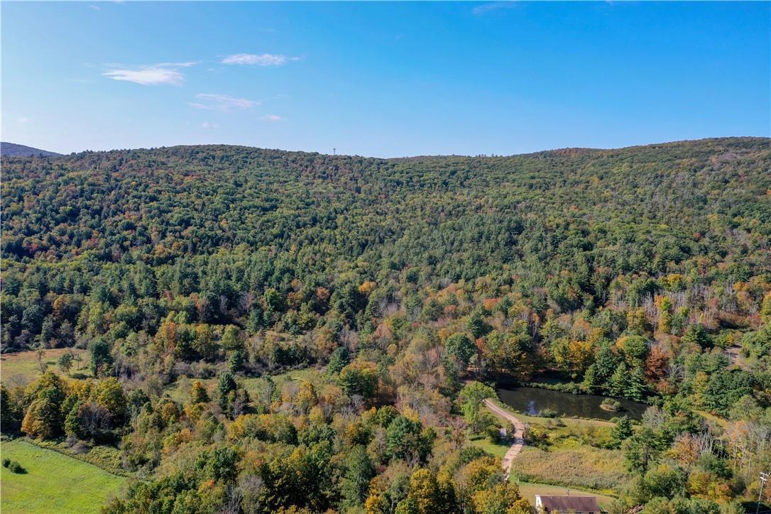 Single Family Nobletown  Columbia County, NY 12529, MLS-H6329385-16