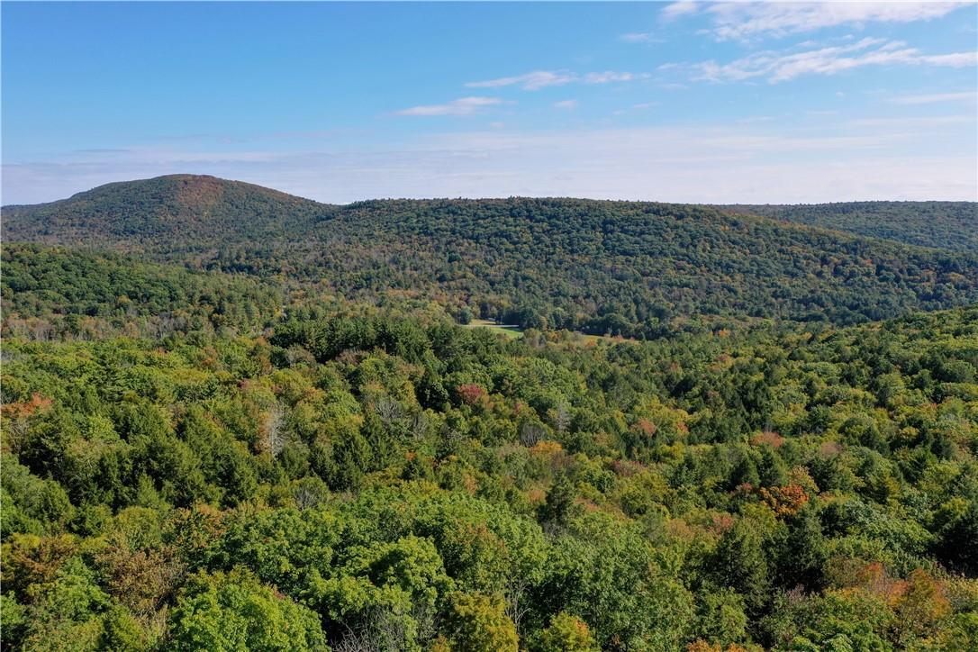 Single Family Nobletown  Columbia County, NY 12529, MLS-H6329385-7