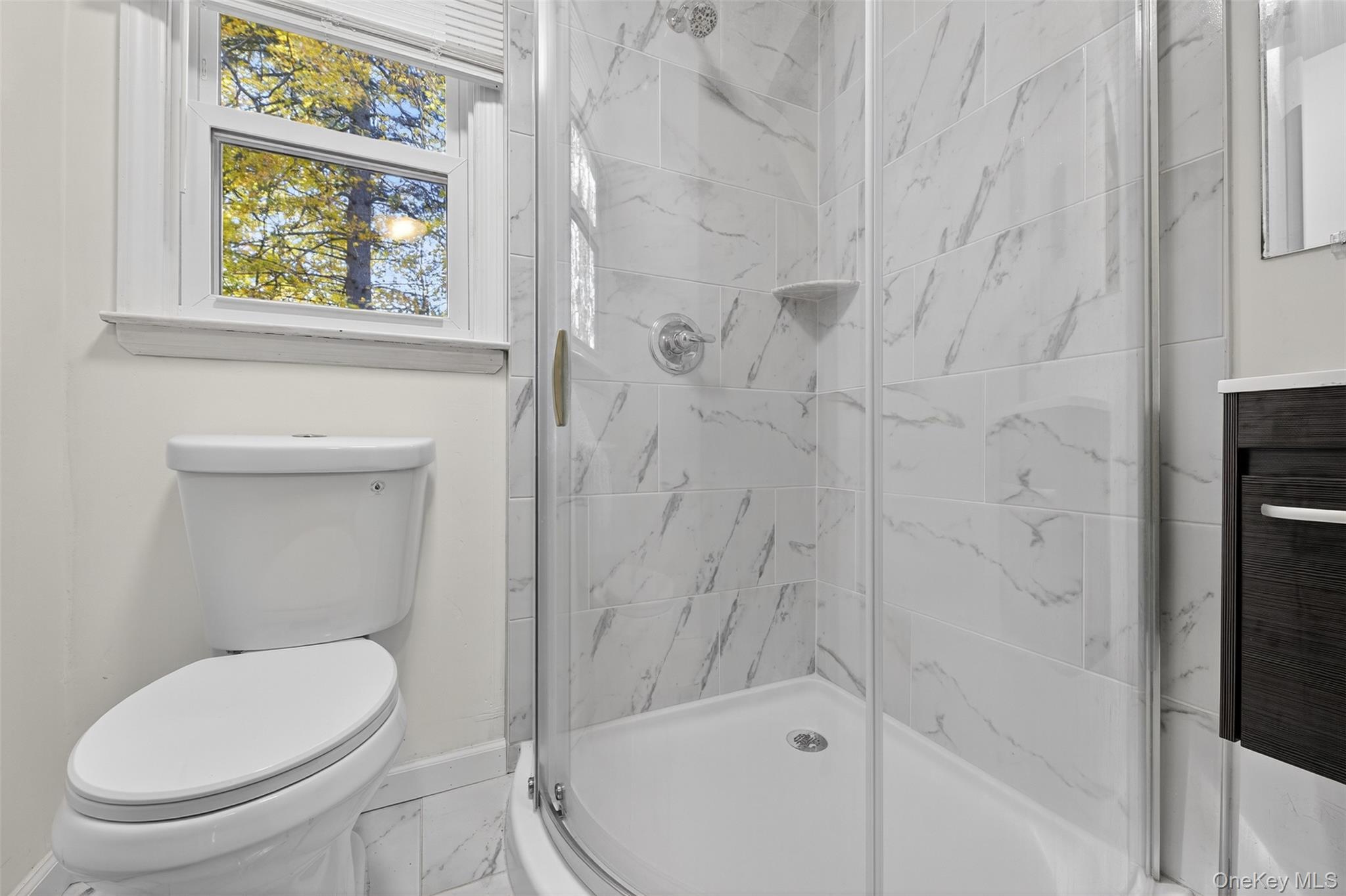 Single Family Farmstead  Orange County, NY 12553, MLS-H6329694-19