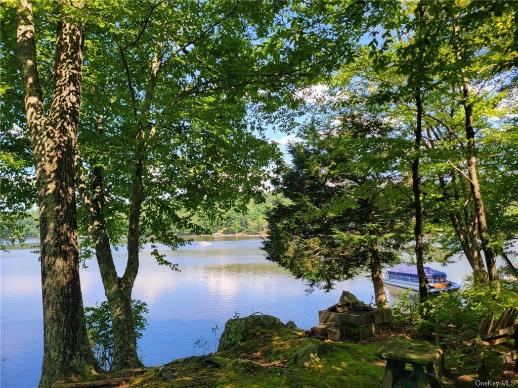 Single Family Plank Rd Tr 71  Sullivan County, NY 12720, MLS-H6330037-2