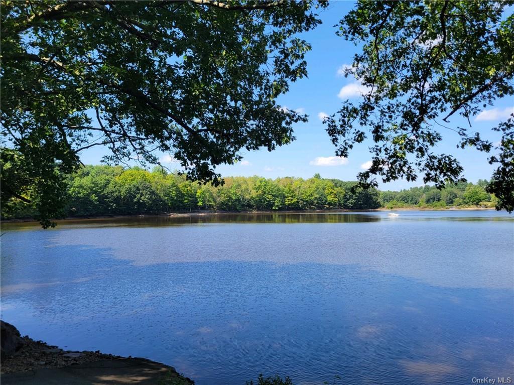 Single Family Plank Rd Tr 71  Sullivan County, NY 12720, MLS-H6330037-21
