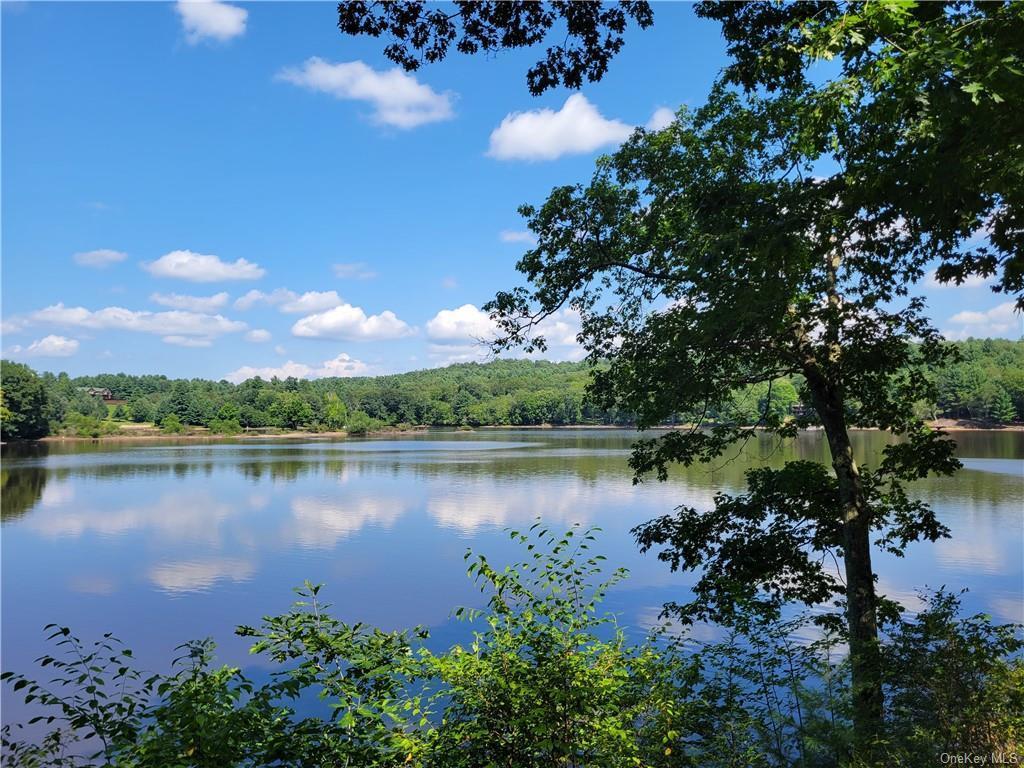 Single Family Plank Rd Tr 71  Sullivan County, NY 12720, MLS-H6330037-24