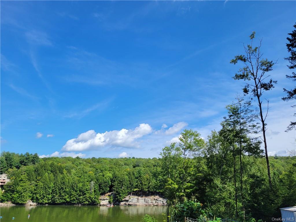 Single Family Plank Rd Tr 71  Sullivan County, NY 12720, MLS-H6330037-25