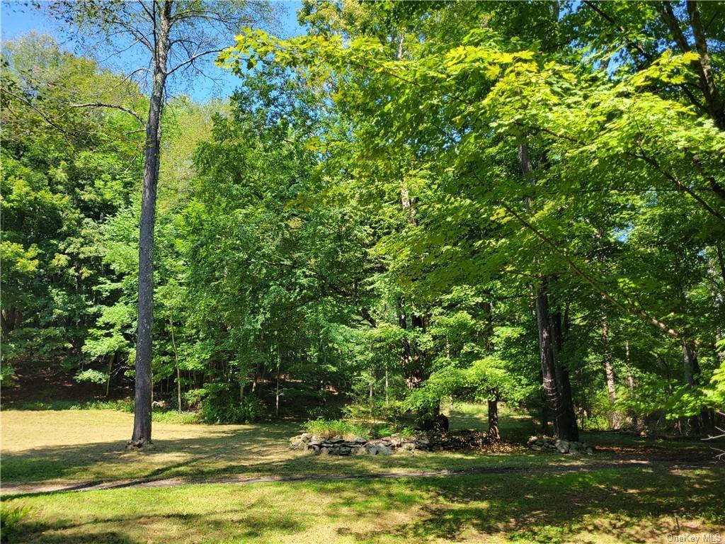 Single Family Plank Rd Tr 71  Sullivan County, NY 12720, MLS-H6330037-26