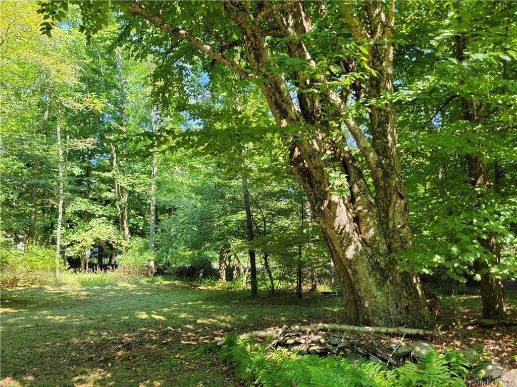Single Family Plank Rd Tr 71  Sullivan County, NY 12720, MLS-H6330037-27