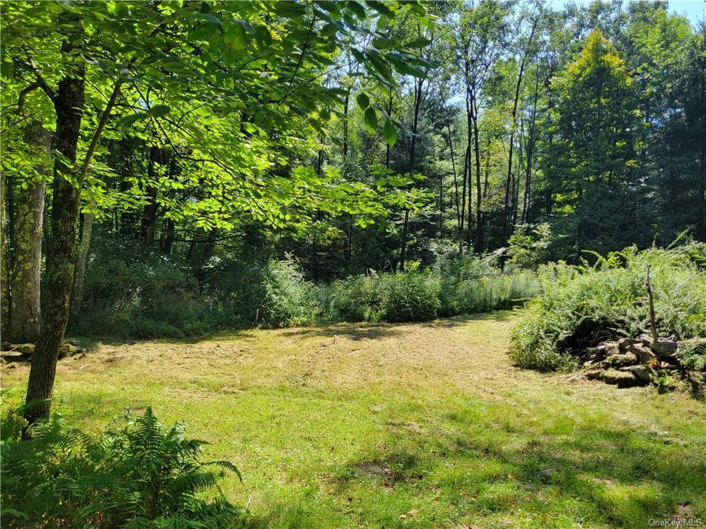 Single Family Plank Rd Tr 71  Sullivan County, NY 12720, MLS-H6330037-29