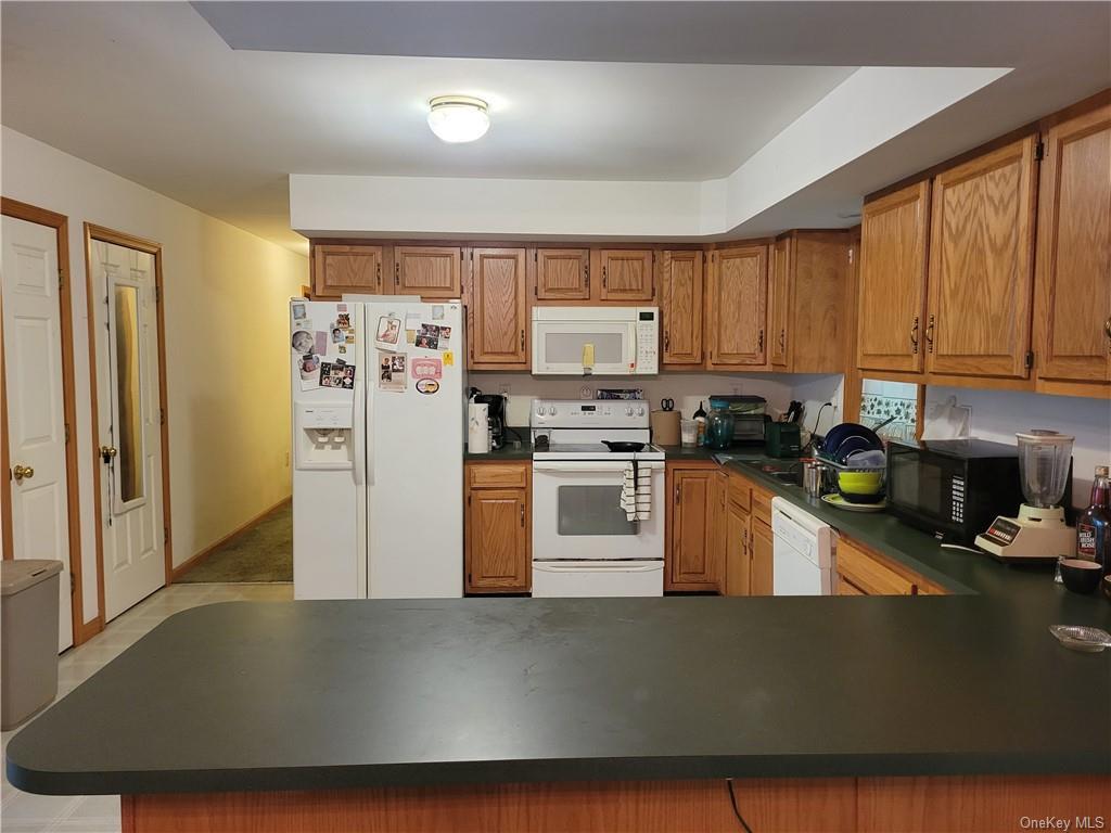 Single Family Plank Rd Tr 71  Sullivan County, NY 12720, MLS-H6330037-6