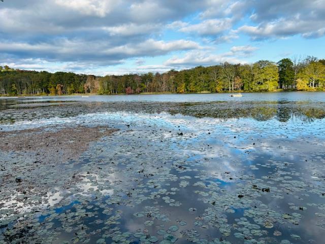 Single Family Lake Shore  Columbia County, NY 12503, MLS-H6332212-10