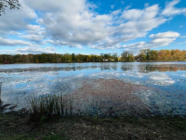 Single Family Lake Shore  Columbia County, NY 12503, MLS-H6332212-8