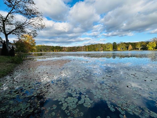 Single Family Lake Shore  Columbia County, NY 12503, MLS-H6332212-9