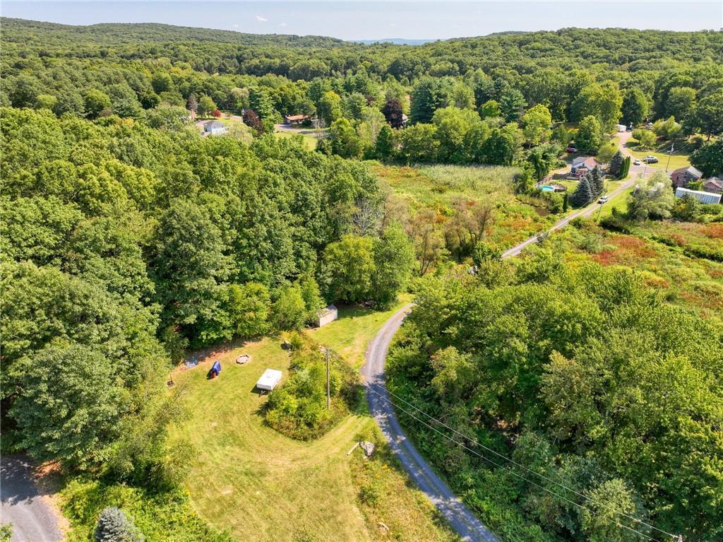 Single Family South  Ulster County, NY 12528, MLS-H6332336-19