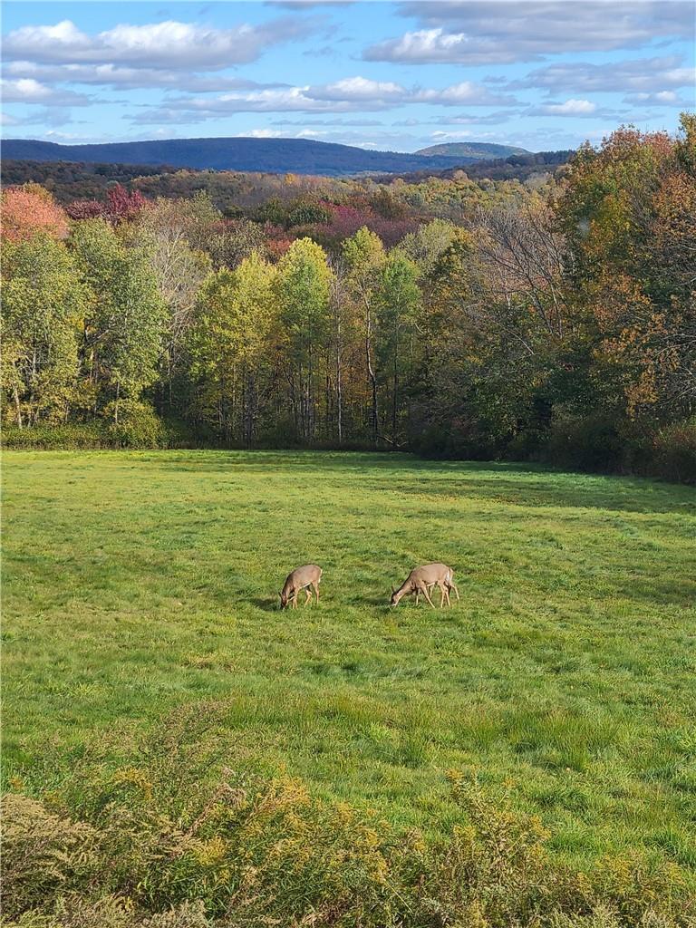 Single Family Yaun  Sullivan County, NY 12758, MLS-H6332401-4