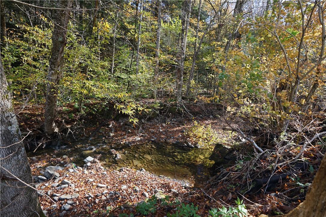 Single Family Tennanah Lake  Sullivan County, NY 12776, MLS-H6332479-10