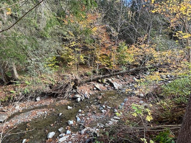 Single Family Tennanah Lake  Sullivan County, NY 12776, MLS-H6332479-24