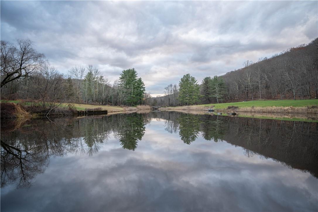 Single Family Duell Hollow  Dutchess County, NY 12594, MLS-H6332865-20