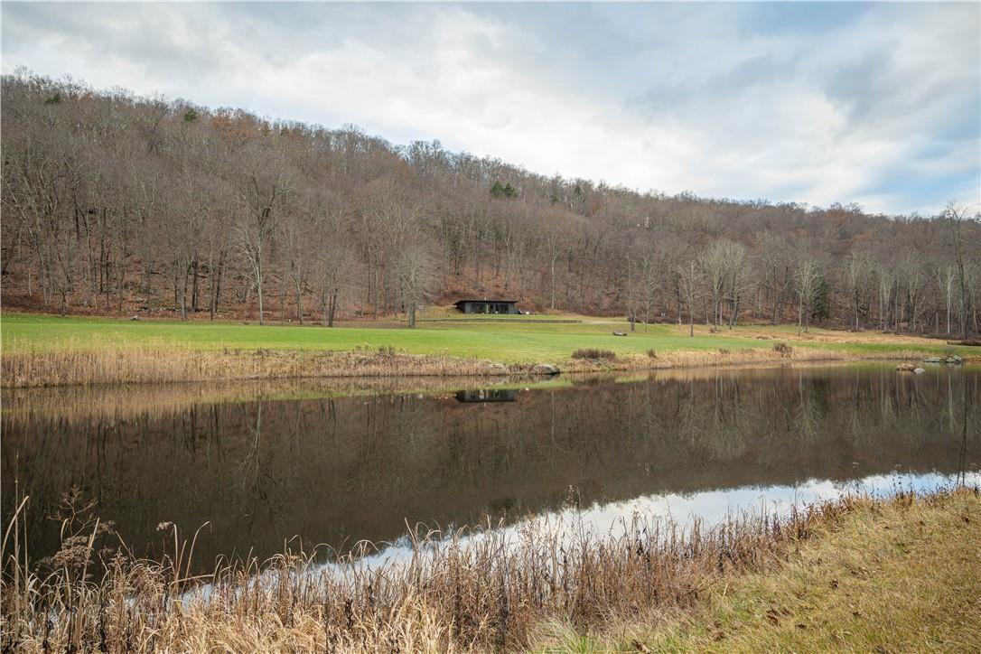 Single Family Duell Hollow  Dutchess County, NY 12594, MLS-H6332865-28