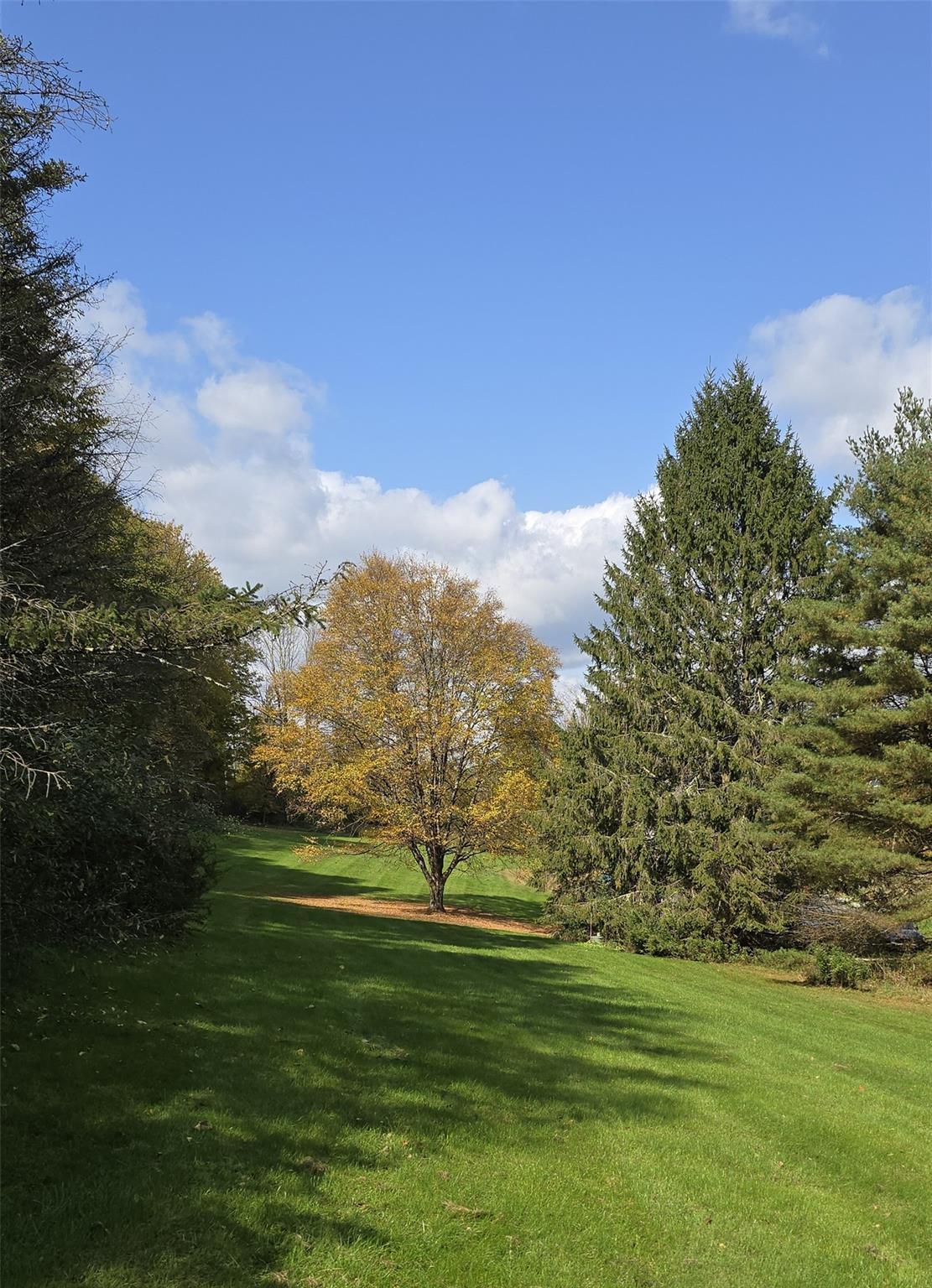 Single Family Winkelstern  Sullivan County, NY 12750, MLS-H6332965-28