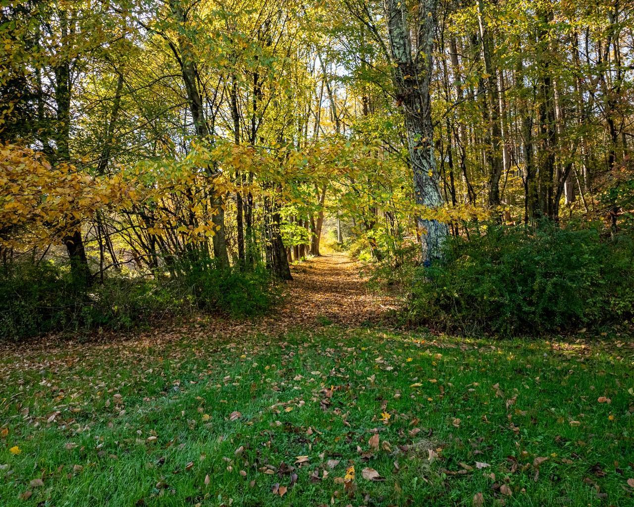 Single Family Winkelstern  Sullivan County, NY 12750, MLS-H6332965-46