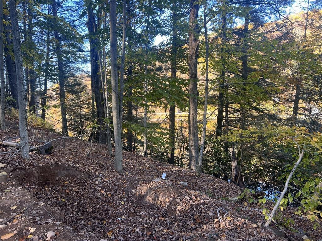 Single Family Benton Hollow  Sullivan County, NY 12765, MLS-H6333798-20