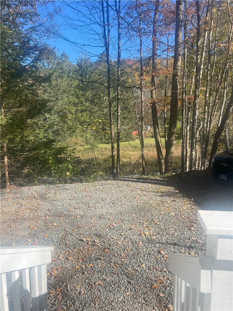 Single Family Benton Hollow  Sullivan County, NY 12765, MLS-H6333798-5