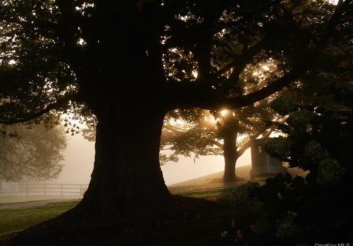 Single Family Narrows Westchester County, NY 10507, MLS-H6333861-29